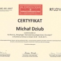 Powiększ obraz: certificate 9