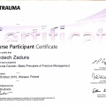 Powiększ obraz: certificate 9
