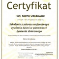 Powiększ obraz: certificate 26
