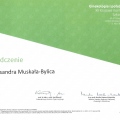 Powiększ obraz: certificate 24