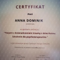 Powiększ obraz: certificate 2