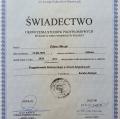 Powiększ obraz: certificate 11