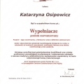 Powiększ obraz: certificate 13