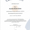 Powiększ obraz: certificate 16