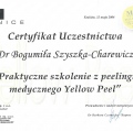 Powiększ obraz: certificate 13