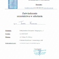 Powiększ obraz: certificate 1