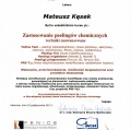 Powiększ obraz: certificate 20