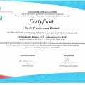 Powiększ obraz: certificate 6
