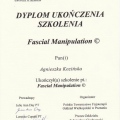 Powiększ obraz: certificate 11