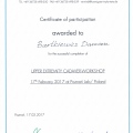 Powiększ obraz: certificate 2