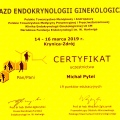 Powiększ obraz: certificate 19