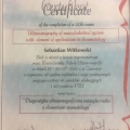 Powiększ obraz: certificate 5