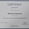 Powiększ obraz: certificate 1