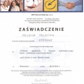 Powiększ obraz: certificate 1