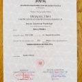 Powiększ obraz: certificate 2