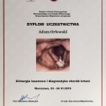 Powiększ obraz: certificate 23