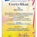 Powiększ obraz: certificate 47