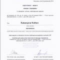 Powiększ obraz: certificate 24