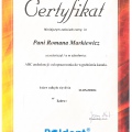 Powiększ obraz: certificate 13