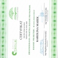 Powiększ obraz: certificate 2