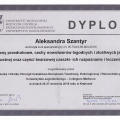 Powiększ obraz: certificate 16