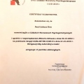 Powiększ obraz: certificate 2