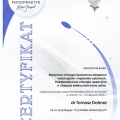 Powiększ obraz: certificate 8