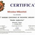 Powiększ obraz: certificate 8
