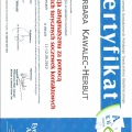 Powiększ obraz: certificate 11