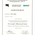 Powiększ obraz: certificate 1
