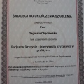 Powiększ obraz: certificate 1