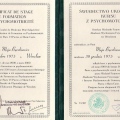 Powiększ obraz: certificate 11