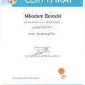 Powiększ obraz: certificate 40