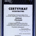 Powiększ obraz: certificate 6