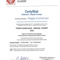 Powiększ obraz: certificate 3