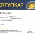 Powiększ obraz: certificate 4