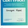 Powiększ obraz: certificate 5