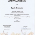 Powiększ obraz: certificate 8