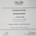 Powiększ obraz: certificate 8