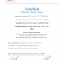 Powiększ obraz: certificate 4