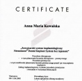 Powiększ obraz: certificate 3