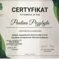 Powiększ obraz: certificate 3