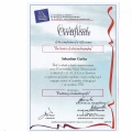 Powiększ obraz: certificate 8