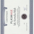 Powiększ obraz: certificate 12