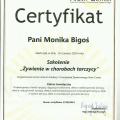 Powiększ obraz: certificate 30