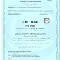 Powiększ obraz: certificate 8