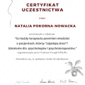 Powiększ obraz: certificate 3
