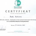 Powiększ obraz: certificate 2