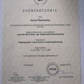 Powiększ obraz: certificate 5