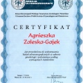 Powiększ obraz: certificate 1